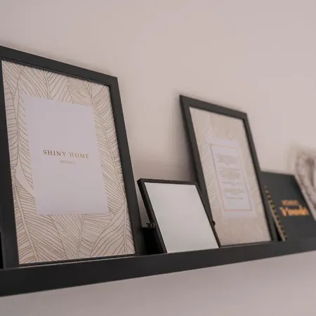 Apartment Shiny *