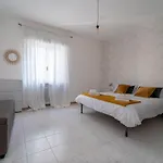 Apartment Shiny Verona