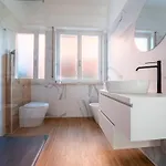 Shiny Верона