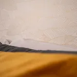 Shiny Apartment